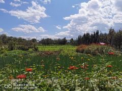 -翠田Green Field Kitchen