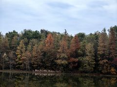 -上海海湾国家森林公园