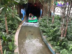 -南宫五洲植物乐园