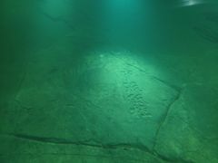 -白鹤梁水下博物馆