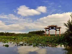 -泗洪洪泽湖湿地景区