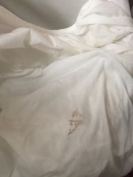 picture-ＤＯＭＯプロの美容サロン