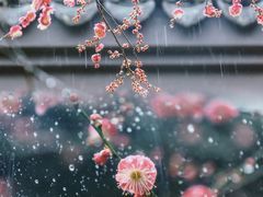 -慧因高丽寺