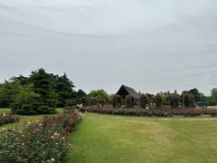 -上海滨江森林公园