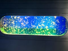 -萌宠奇缘(荣鼎店)