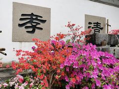 -惠山古镇·寄畅园