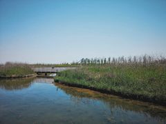 -春花秋色城市公园