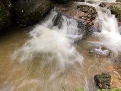 -莫里热带雨林景区