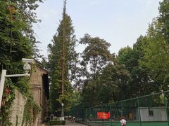 -南京大学游泳馆