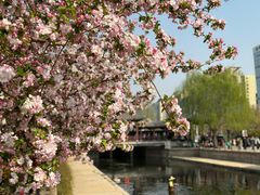 -海棠花溪(元大都城垣遗址公园)