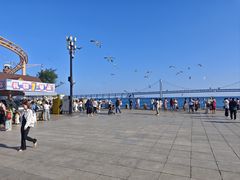 -星海广场
