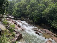 -广州白江湖森林公园