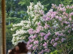 -杭州城北体育公园