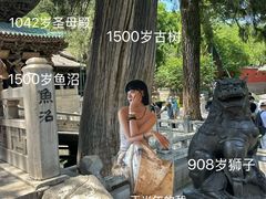 -晋祠公园