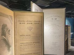 -鹏欣水游城