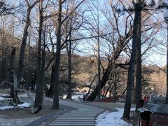 -阳台山自然风景区