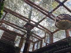 -丽江庭院·云南野生菌·海鲜火锅(鼓楼四合院店)