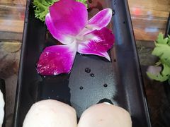 芝士丸-丽江庭院之爱在路上(西单店)