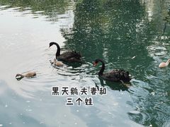 -成都动物园