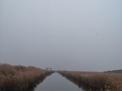 -南大港湿地风景区