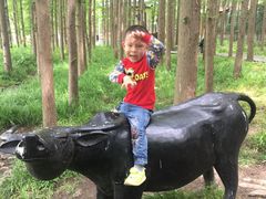 -南京金牛湖风景区