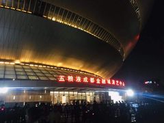 -成都金融城演艺中心