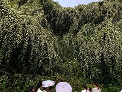 -府河摄影公园