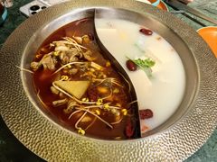 -麻田会 ·鲜活现烹·牛蛙火锅(珠江新城维家思广场店)