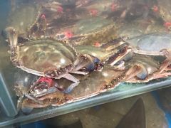 -宾朋海鲜特色美食餐厅·纯手工鲅鱼水饺(兴海路店)