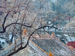 -潭柘寺景区