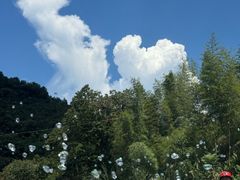 -虎啸峡漂流