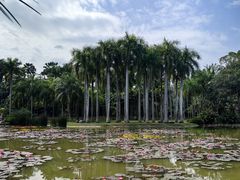 -中国科学院西双版纳热带植物园