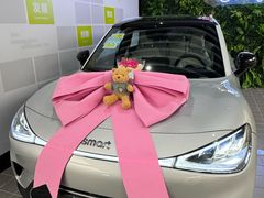 -上海浦东smart汽车全功能店(金桥店)