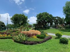-东莞植物园
