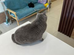 -美联众合24小时·皮肤科·外科·全科诊疗中心(华苑分院)