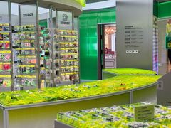 -HOWOW·D2Y(柏威年店)