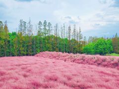 -嘉北郊野公园