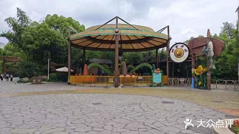 上海欢乐谷图片