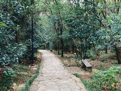 -虞山风景区