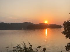 -东湖落雁景区