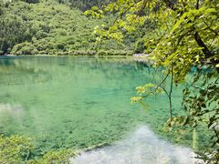 -九寨沟-树正沟