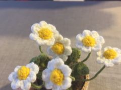 -有喜胶东小馆(太申祥和店)
