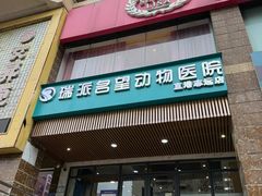 -瑞派名望志远动物医院·猫科·內科·异宠专科(直港大道店)