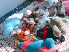 -PAWTOY爪e玩偶店(天兴罗斯福店)