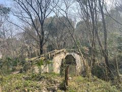 -青龙山国家森林公园