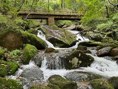 -五女峰国家森林公园