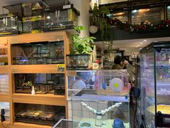 -酷以爬仙阁实体爬宠店·守宫·蜥蜴·专业繁育