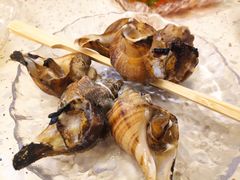 -白仁仔· 活烤海鲜 宵夜(豫园店)