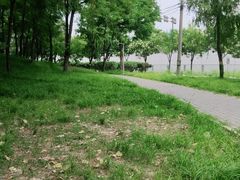 -海淀公园
