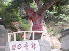 -大鹿岛